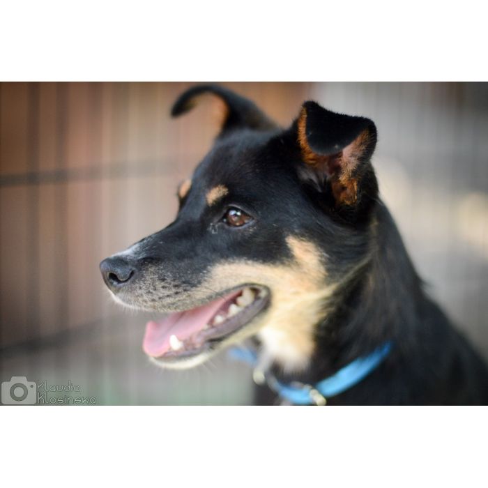 Natka - mała wojowniczka o wielkim sercu!