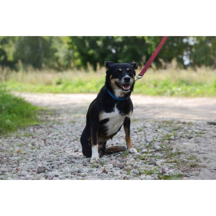 Natka - mała wojowniczka o wielkim sercu!