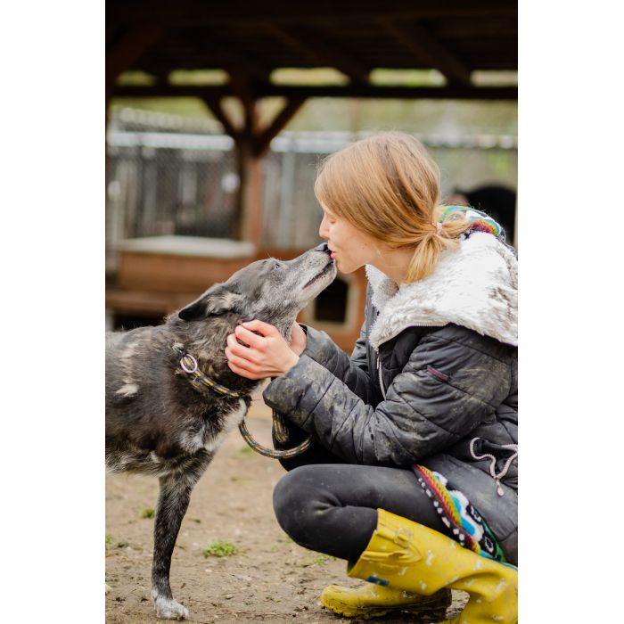 Hektor - nieduży, wesoły psiak który przeżył piekło