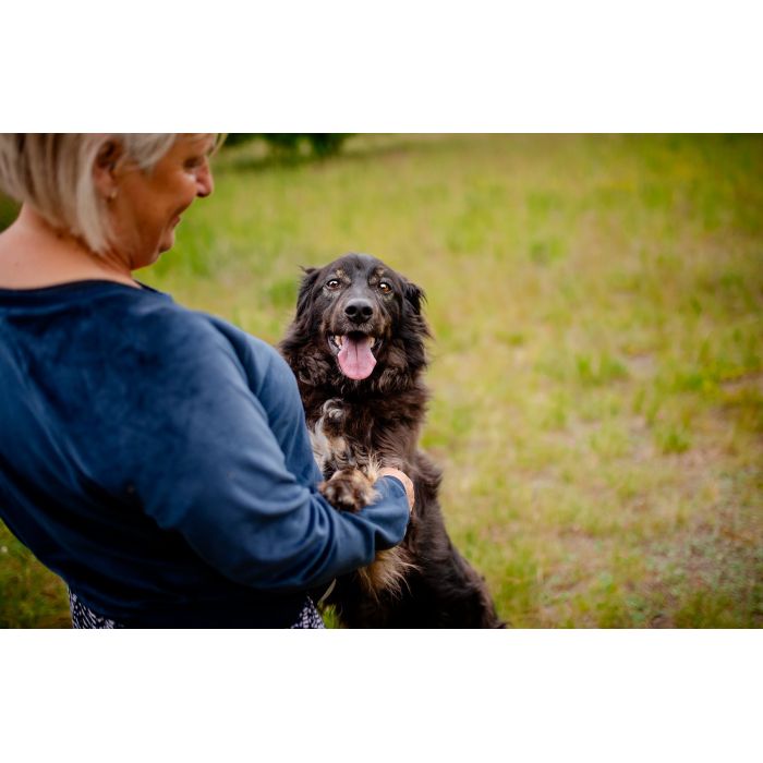 Roki - domowy, młody, przyjazny psiak!