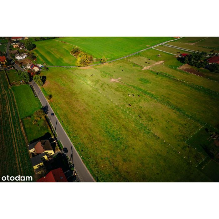 0% Prowizji- Działki Budowlane w Kornicach-Twoje Miejsce na Ziemi