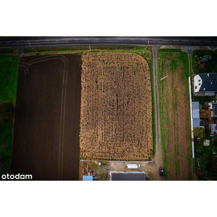 Kiedy szukasz ciszy, natury w nowoczesnej zabudowie jednorodzinnej