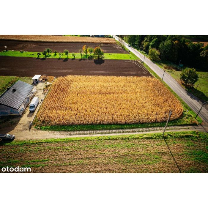 Kiedy szukasz ciszy, natury w nowoczesnej zabudowie jednorodzinnej