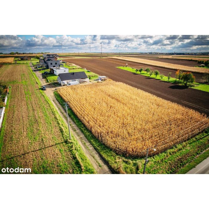 Kiedy szukasz ciszy, natury w nowoczesnej zabudowie jednorodzinnej