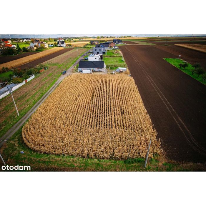 Kiedy szukasz ciszy, natury w nowoczesnej zabudowie jednorodzinnej