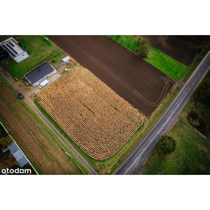 Kiedy szukasz ciszy, natury w nowoczesnej zabudowie jednorodzinnej