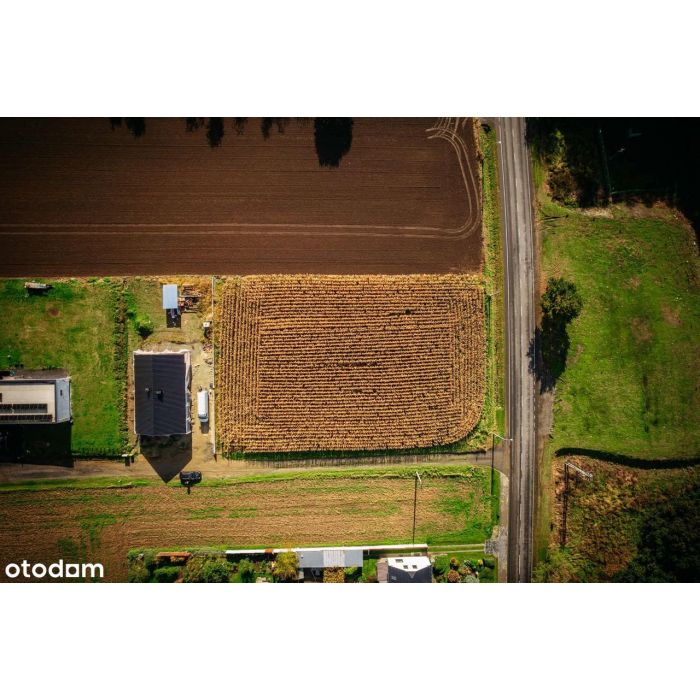 Kiedy szukasz ciszy, natury w nowoczesnej zabudowie jednorodzinnej