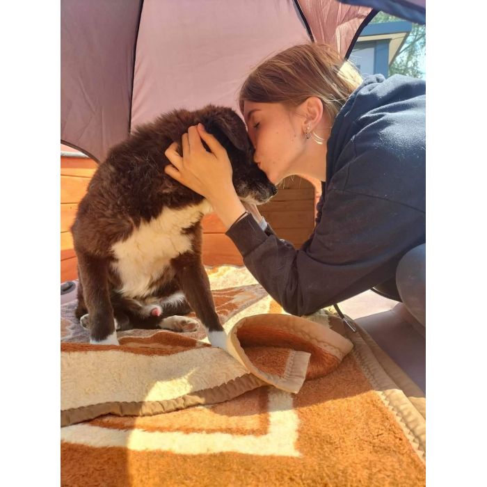 Wania - cudowny, ciepły, kochany psiak!