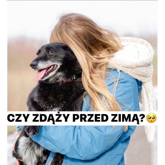 Nieduży Patyk, wesoły, pełen energii psiak!