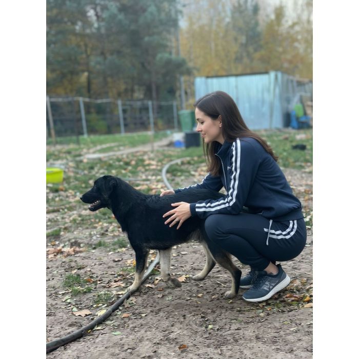 10 miesięczny Majlo - wesoły, przyjazny szczeniak!