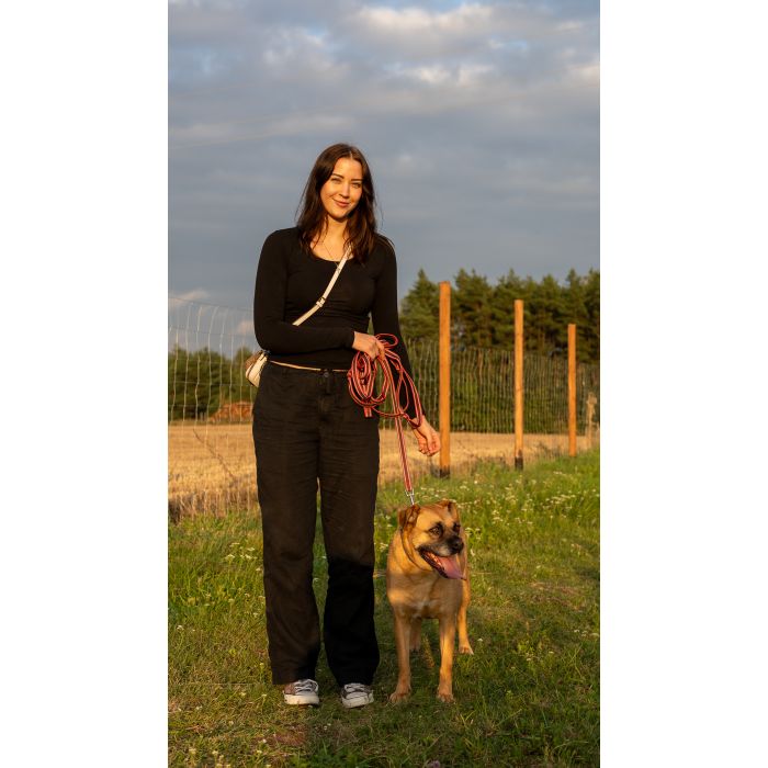 Aza - wesoła, łagodna, rodzinna sunia!