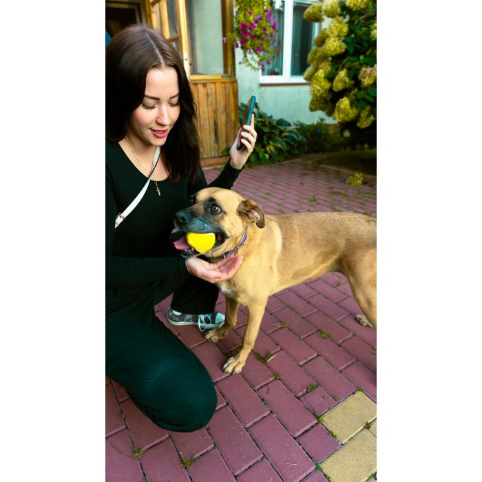 Aza - wesoła, łagodna, rodzinna sunia!