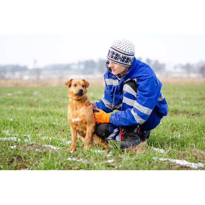 Rożek - prawdziwy diament do pokochania!