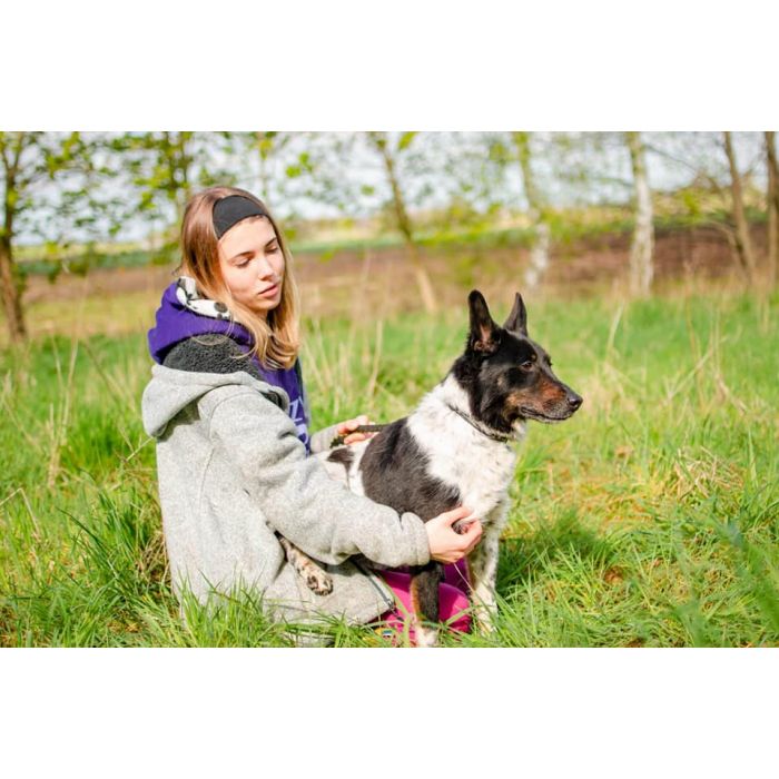 Łatek - inteligentny, radosny, kochający człowieka