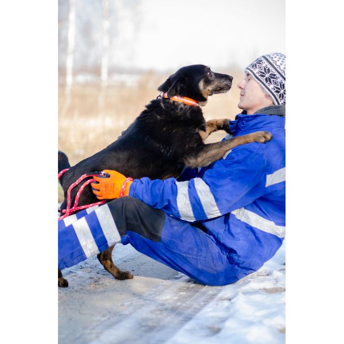 Red - cudowny, zwykły pies o niezwykłym sercu