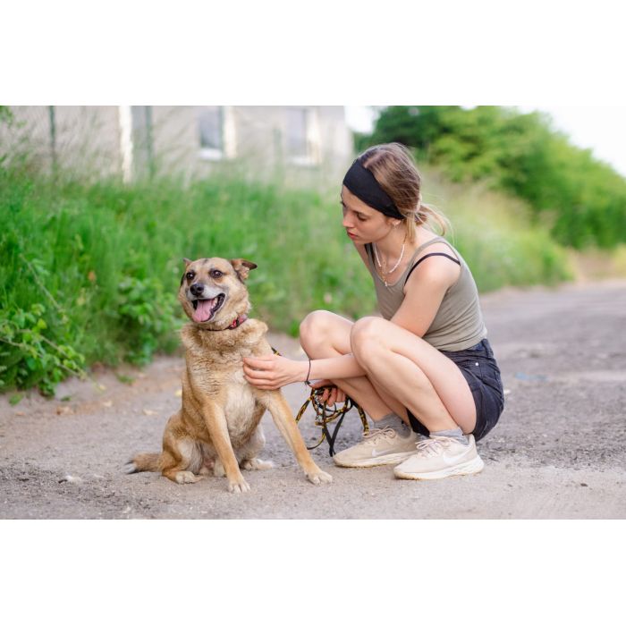 Tores - niekonfliktowy, rodzinny psiak!