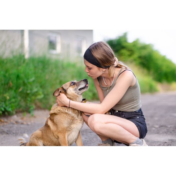 Tores - niekonfliktowy, rodzinny psiak!