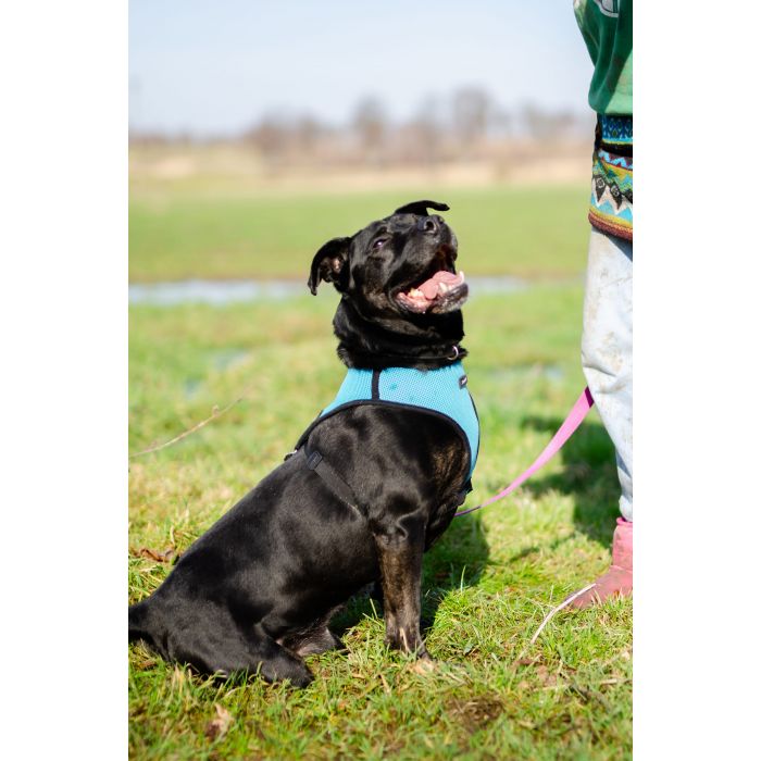 Fantastyczny Czet uratowany z piekła, łagodny AST