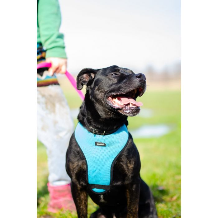 Fantastyczny Czet uratowany z piekła, łagodny AST