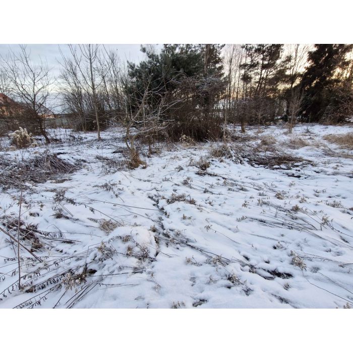 2000 m² Działki Budowlanej