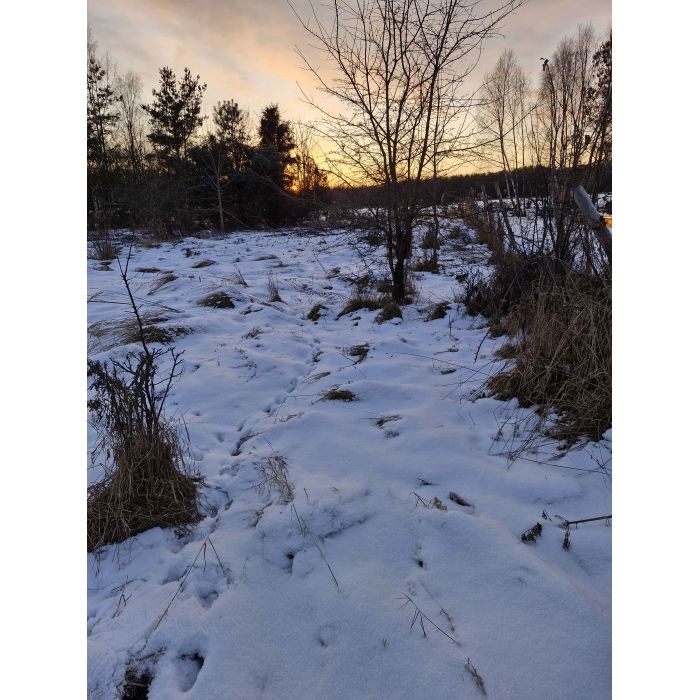 2000 m² Działki Budowlanej