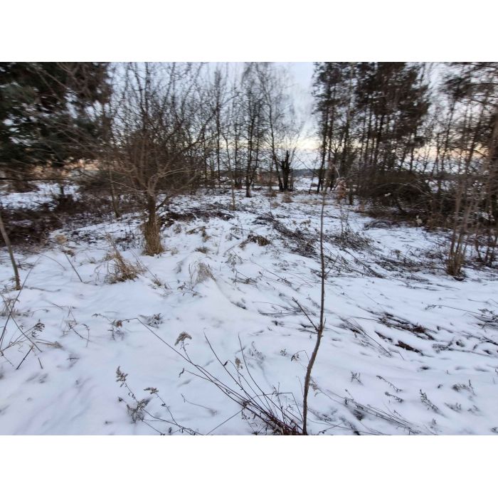 1000 m² Działki Budowlanej