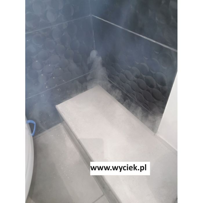 Lokalizacja wycieków wody Katowice