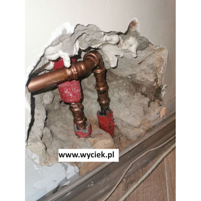 Lokalizacja wycieków wody Katowice