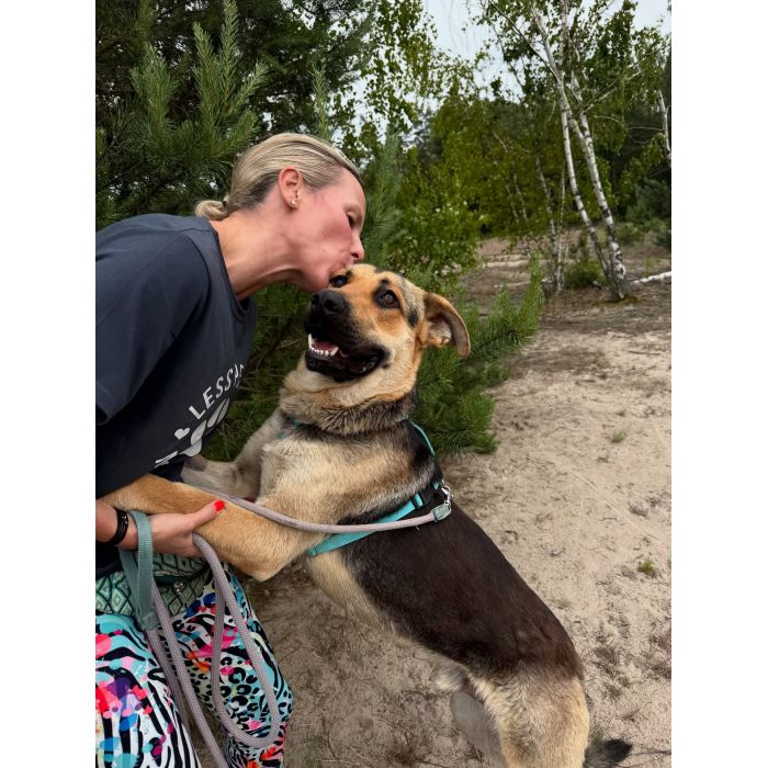 Magnus - duży pies o wielkim sercu szuka domu!