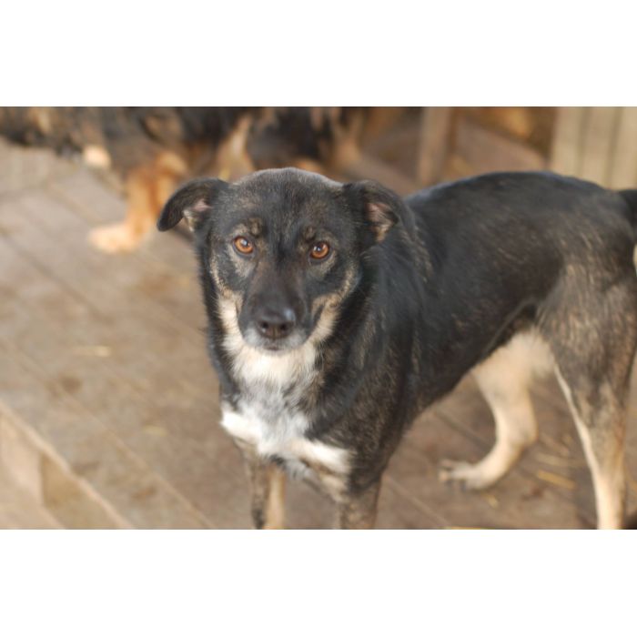 Megi i Pegi, cudowne siostry BŁAGAJĄ do om!