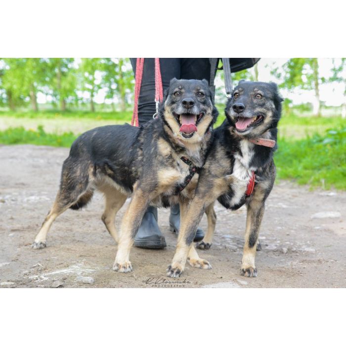 Megi i Pegi, cudowne siostry BŁAGAJĄ do om!