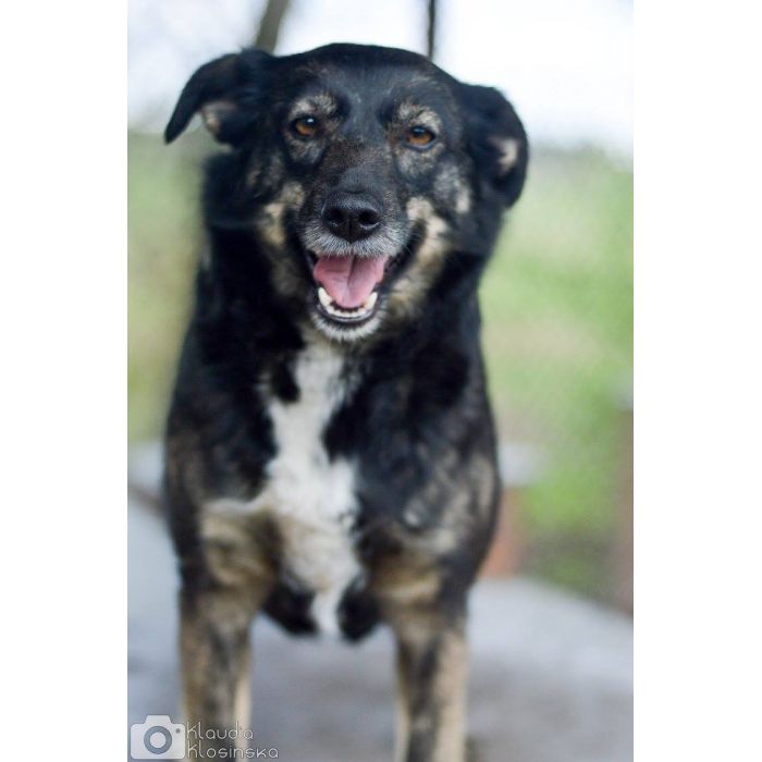 Megi i Pegi, cudowne siostry BŁAGAJĄ do om!