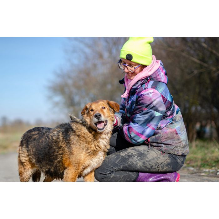 Kapral - przyjazny, wesoły psiak szuka domu!