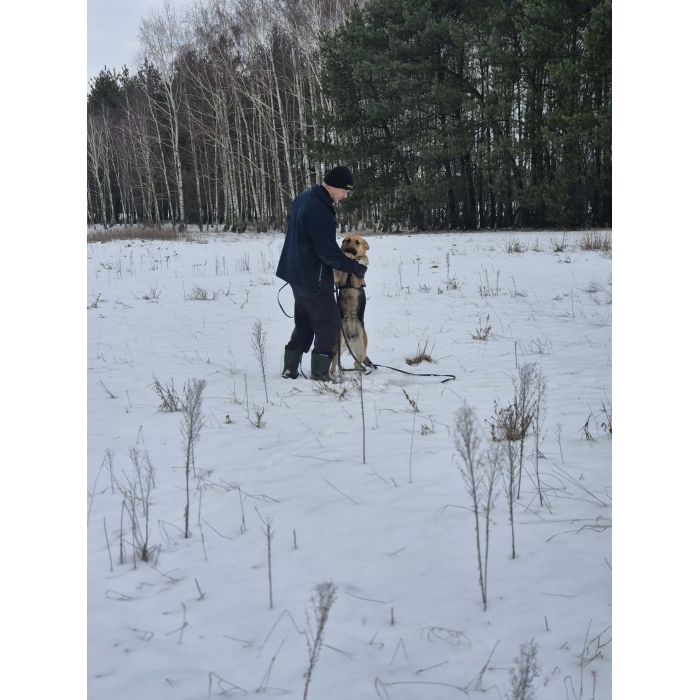 Mona - młoda, wesoła suczka owczarek mix