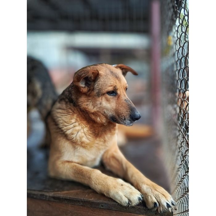 Linda - delikatna dusza szuka swojego człowieka!