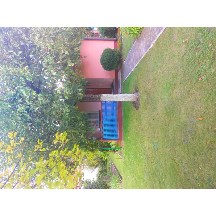 Działka ROD na Rządzu