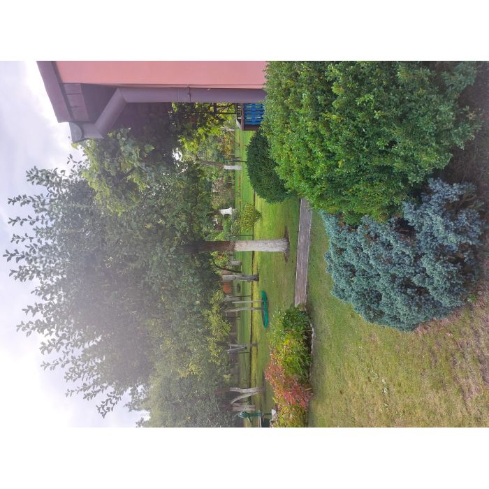 Działka ROD na Rządzu