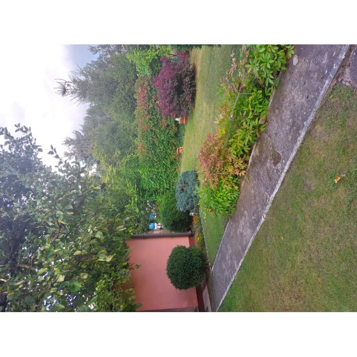 Działka ROD na Rządzu