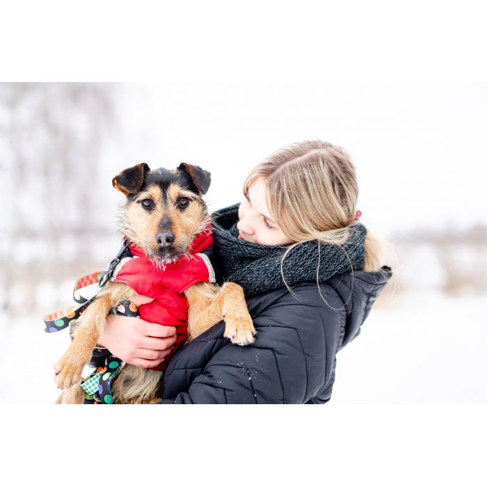 Roxi - młoda, niekonfliktowa, niewielka suczka