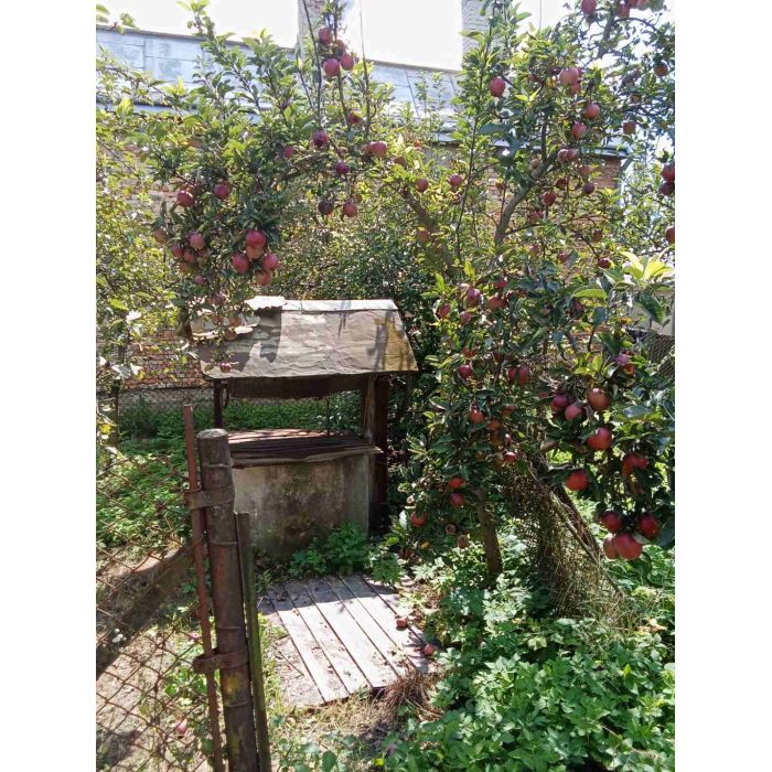 Sprzedam dom z działką