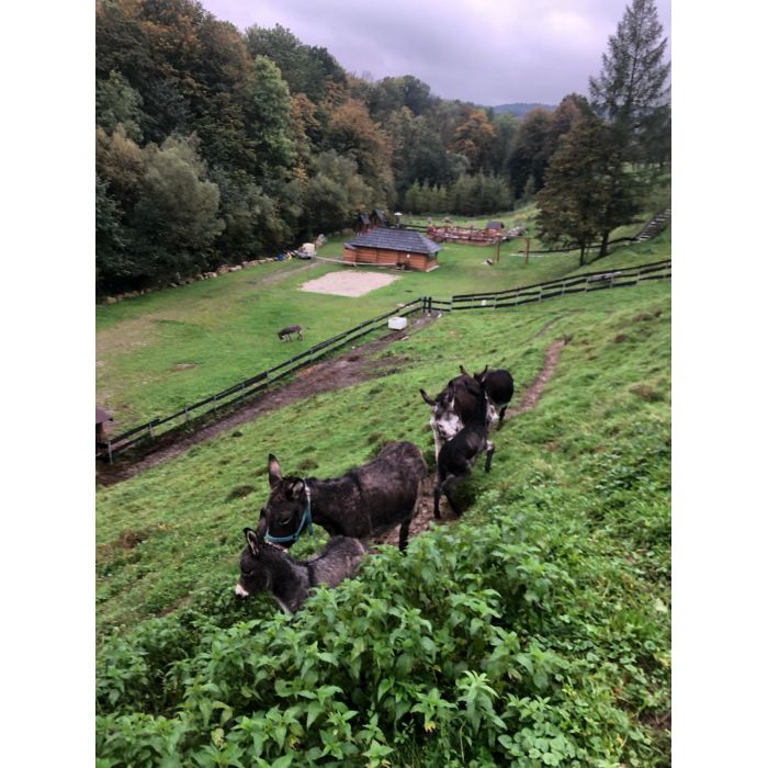 Sprzedam agroturystyke w gorach