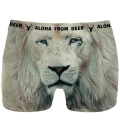 Aslan underwear