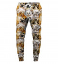 Cat heads sweatpants