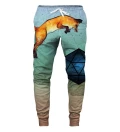 Spodnie dresowe Wild foxes