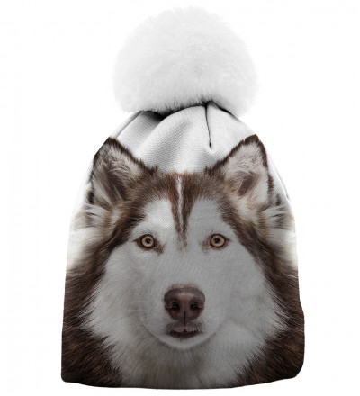 czapka z motywem psa husky