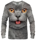 British cat Sweatshirt