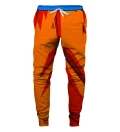 Spodnie dresowe Battle Goku