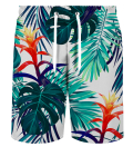 Tropic Svette Shorts