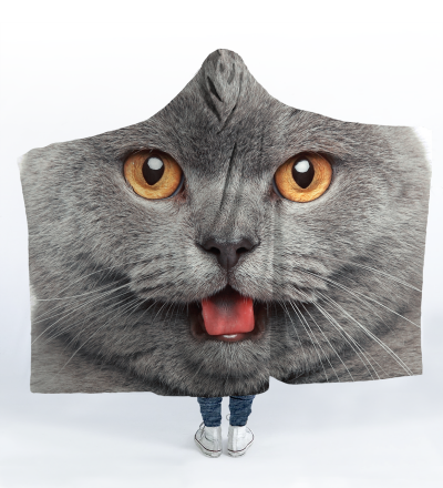 British cat hooded blanket