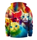 Colorful Kittens kids hoodie